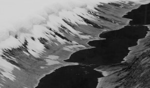 Fot. Agnieszka Twardawa