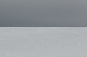 Fot. Agnieszka Twardawa