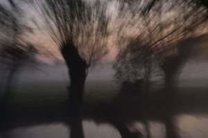 Fot. Elżbieta Mazoń