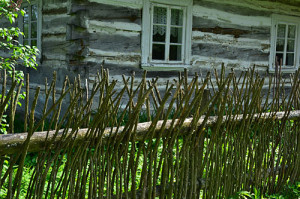 Fot. Elżbieta Mazoń