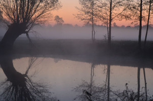 Fot. Elżbieta Mazoń