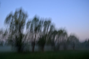 Fot. Elżbieta Mazoń