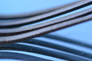 Fot. Elżbieta Mazoń