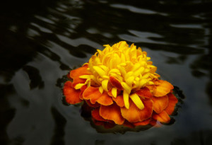 Fot. Emilka Zalewska