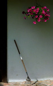 Fot. Emilka Zalewska