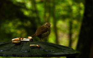 Fot. Emilka Zalewska