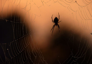 Fot. Emilka Zalewska