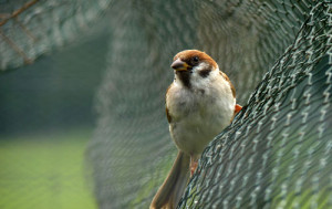 Fot. Emilka Zalewska