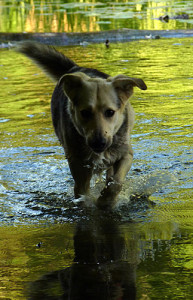 Fot. Emilka Zalewska