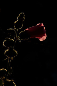 Fot. Emilka Zalewska