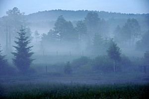 Fot. Ewa Ziętek