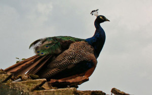 Fot. Gabrysia Sarnowska