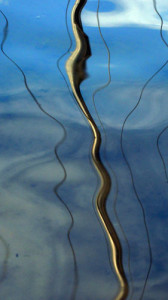 Fot. Gabrysia Sarnowska