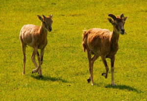Fot. Gabrysia Sarnowska