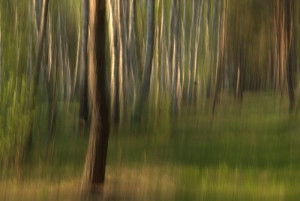 Fot. Małgorzata Juchnikowska