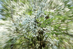 Fot. Małgorzata Juchnikowska