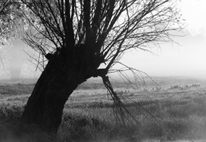 Fot. Małgorzata Juchnikowska