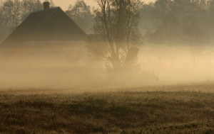 Fot. Małgorzata Juchnikowska