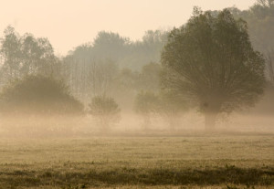 Fot. Małgorzata Juchnikowska