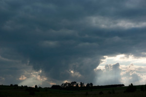 Fot. Jerzy Kołodziejski