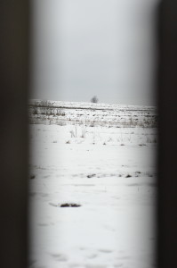 Fot. Karolina Mokrzycka