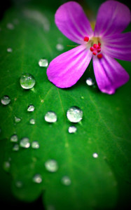 Fot. Karolina Mokrzycka