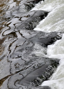 Fot. Karolina Mokrzycka