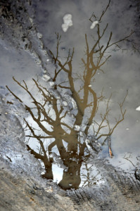 Fot. Karolina Mokrzycka