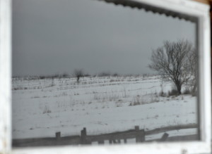 Fot. Karolina Mokrzycka