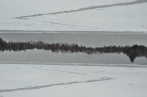 Fot. Karolina Mokrzycka