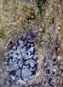 Fot. Karolina Mokrzycka