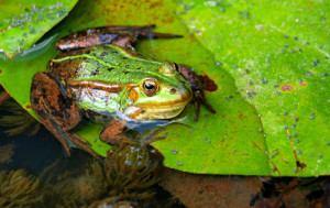 Fot. Kasia Szygałowicz
