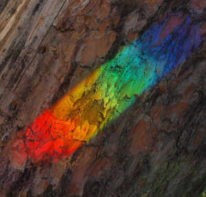 Fot. Kasia Szygałowicz