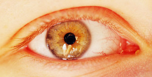 Fot. Kasia Szygałowicz