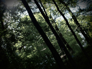 Fot. Kasia Szygałowicz