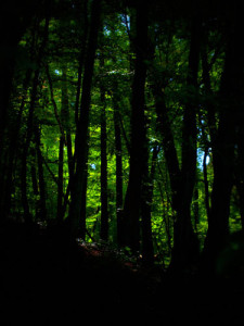 Fot. Kasia Szygałowicz