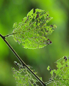 Fot. Kasia Szygałowicz