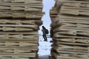 Fot. Małgorzata Bonowska