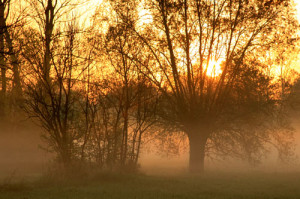 Fot. Małgorzata Bonowska
