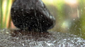 Fot. Matylda Krulikowska