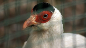 Fot. Matylda Krulikowska