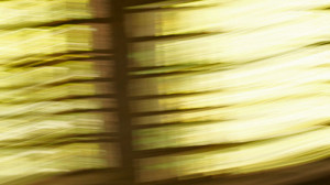 Fot. Matylda Krulikowska