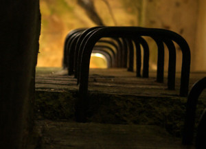 Fot. Matylda Krulikowska