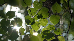 Fot. Matylda Krulikowska