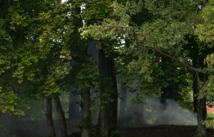 Fot. Matylda Krulikowska