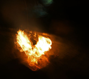 Fot. Matylda Krulikowska