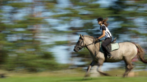 Fot. Matylda Krulikowska