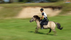 Fot. Matylda Krulikowska