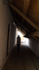 Fot. Matylda Krulikowska