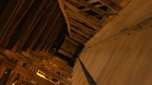 Fot. Matylda Krulikowska